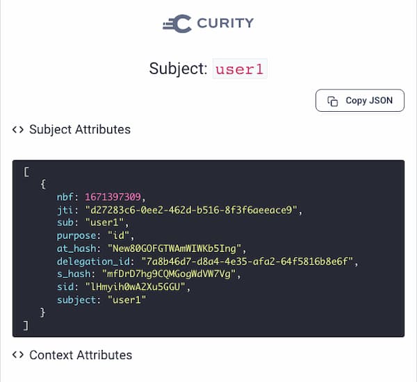 Provider 1 Debug Attribute Action Result
