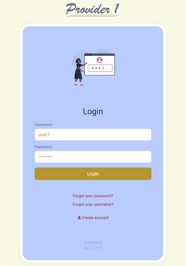 Provider 1 Login Screen