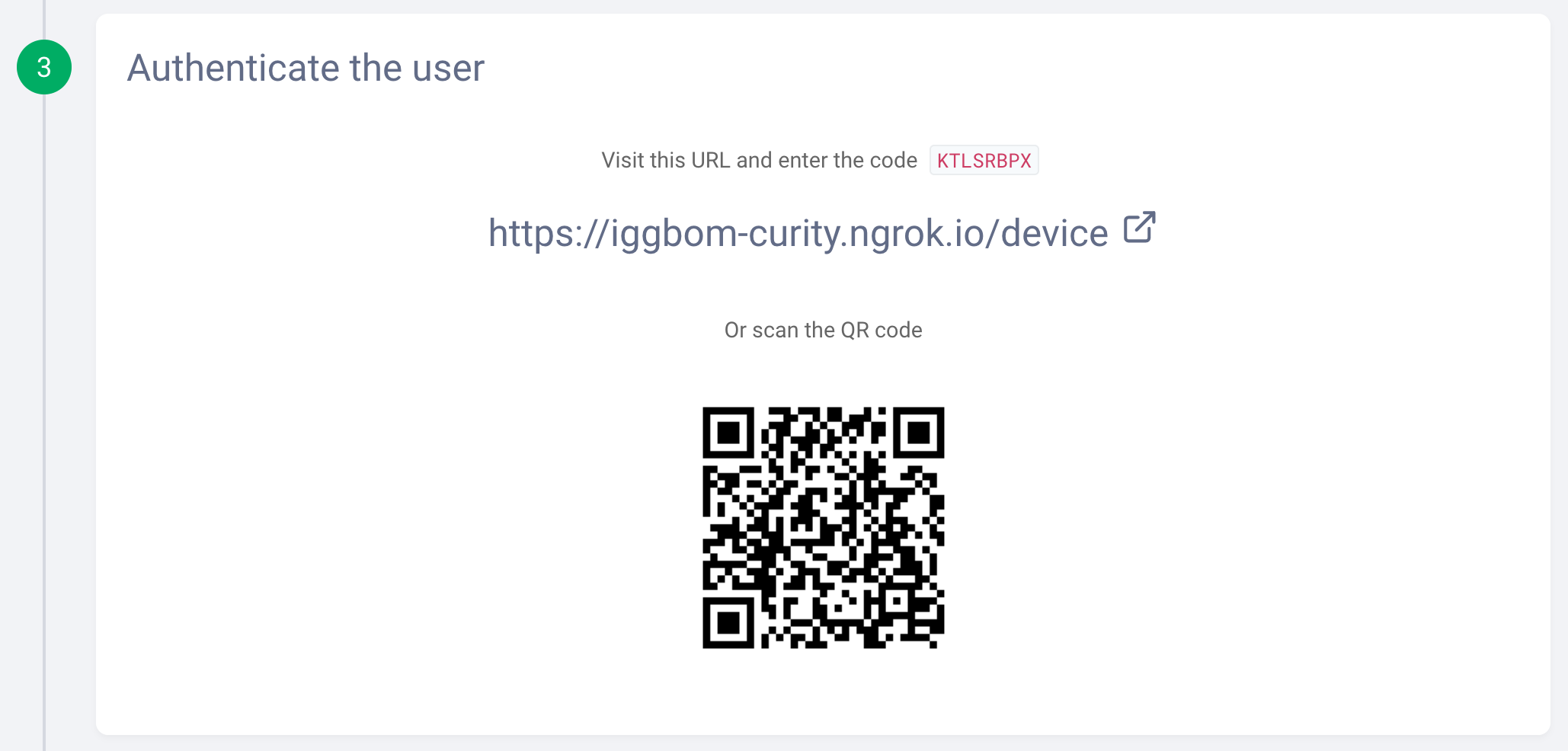 Authenticate the user