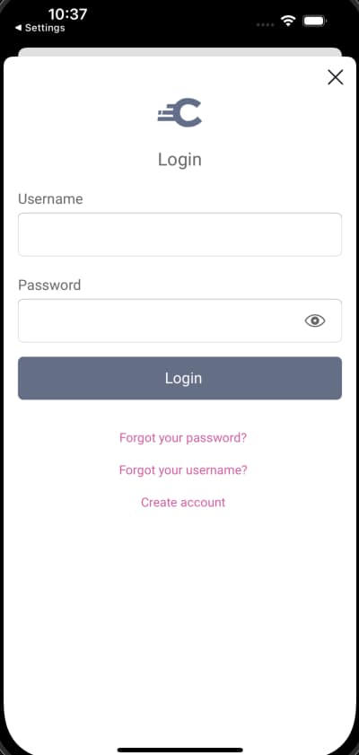 Initial Login