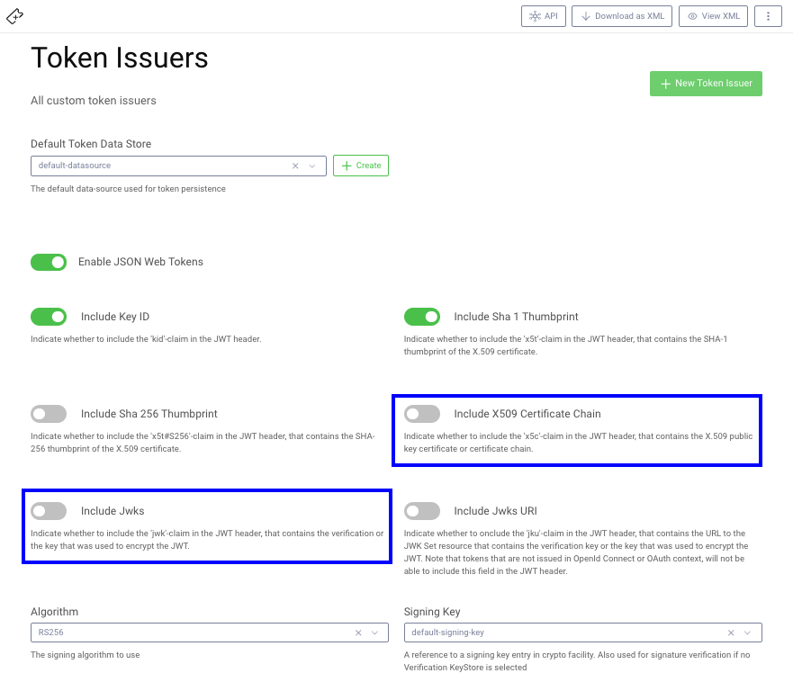 Extended JWT Options